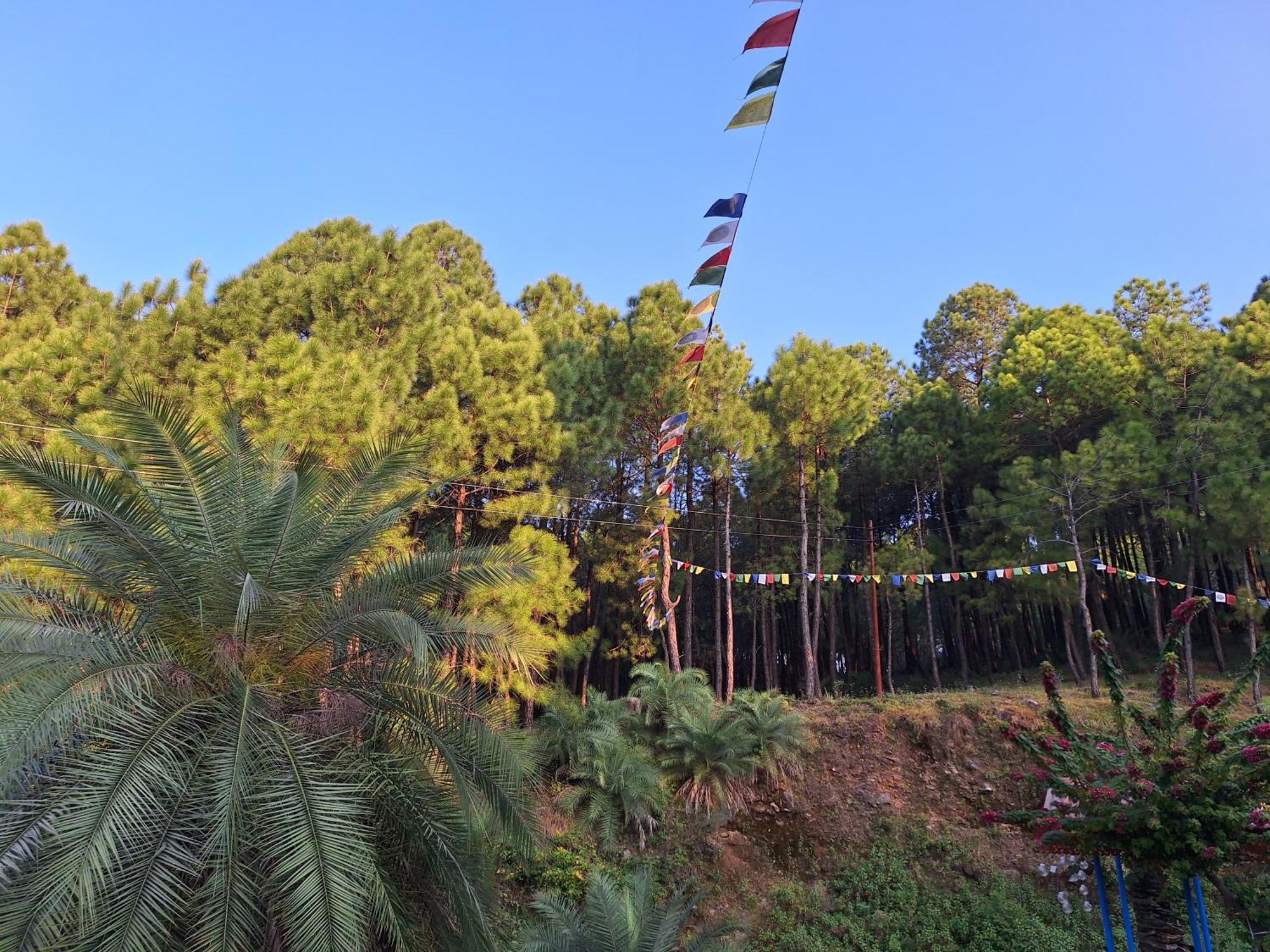 Tathastu Bir -Homestay ,Dorm,Hostel Exterior photo