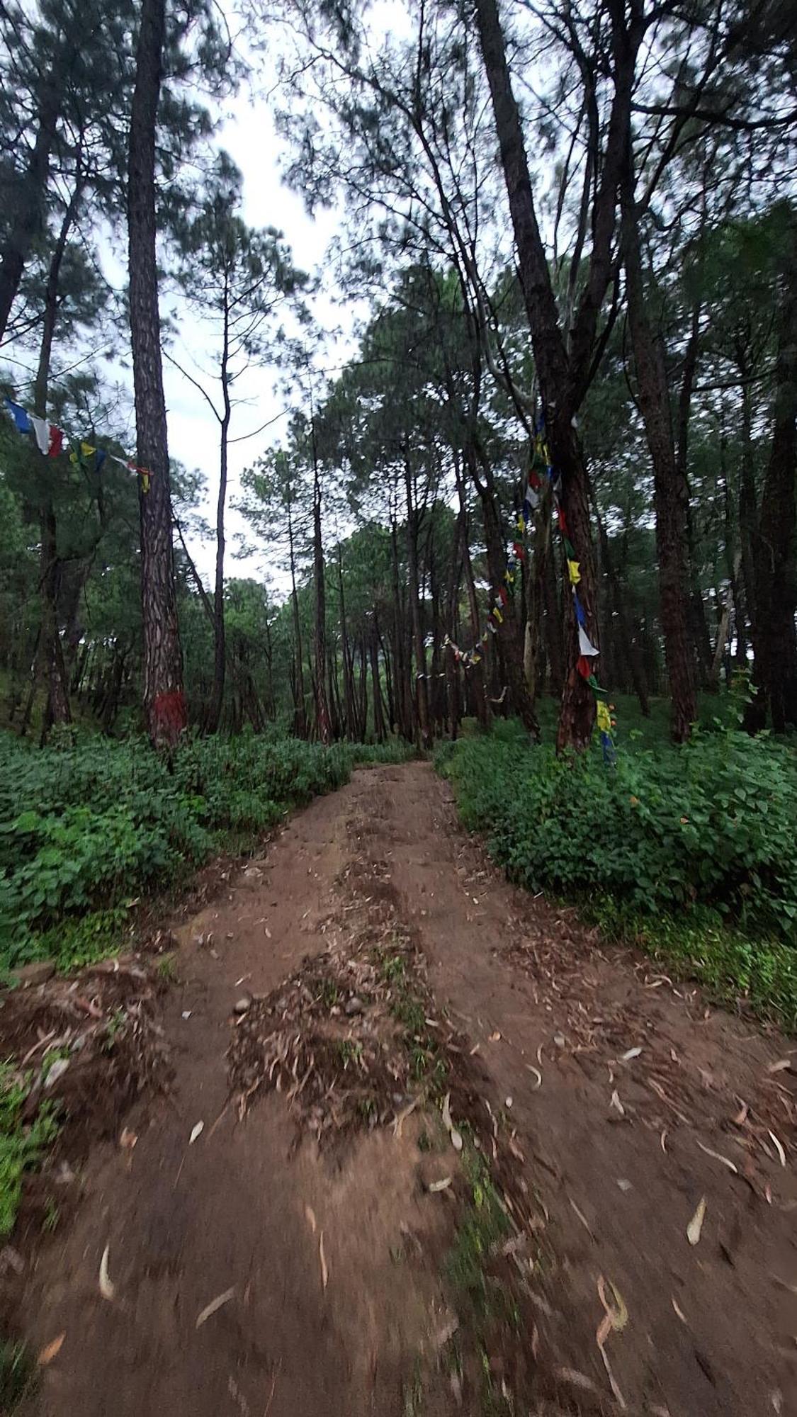 Tathastu Bir -Homestay ,Dorm,Hostel Exterior photo